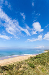 Forest caves beach vert