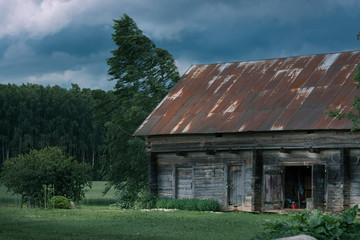 Growing green crop fields at late evening. Blue sky with clouds in countryside. Fresh air, clean environment, sustainable lifestyle.