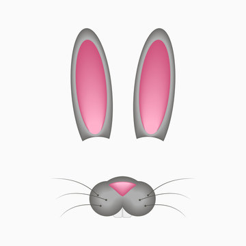 Bunny or hare face elements - ears and nose. Selfie photo and video chart filter with cartoon rabbit mask. Vector illustration.