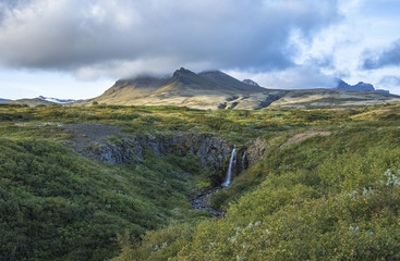 Svartifoss waterfall surrounded by basalt columns in the south of Iceland