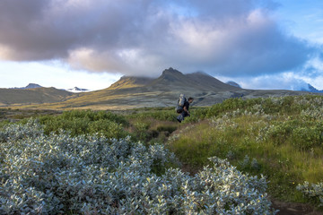 Stunning Icelandic Scenery of Svartifoss Waterfall in Skaftafell.