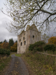 Obraz premium Newark Tower, near Selkirk