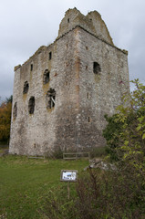 Newark Tower, near Selkirk