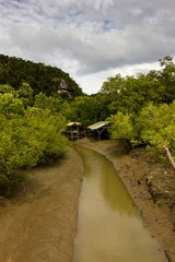 Fototapeta na wymiar Small huts near a river in the jungle