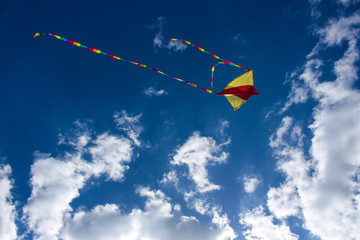 Kite