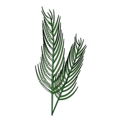 Bouquet of leaves icon vector illustration graphic design