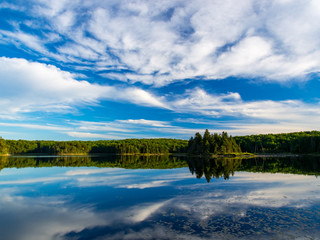 Obraz na płótnie Canvas Pond with Pine Forest and Sky Reflection