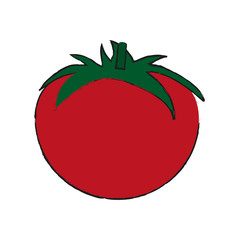 Tomato fresh vegetable icon vector illustration graphic design