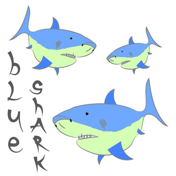 shark blue vector 