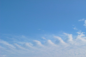変わった形の雲