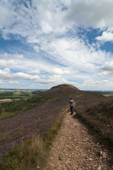 Woman walking down footpath from middle Eildon with North Eildon in the background, Melrose