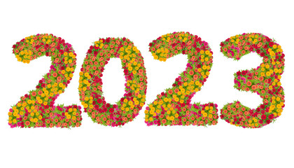 Numbers 2023 made from Zinnias flowers isolated on white background with clipping path. Happy new...