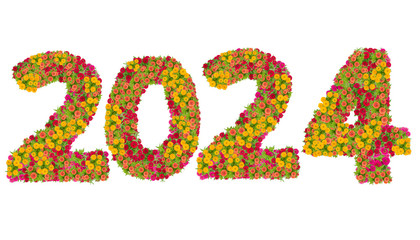 Numbers 2024 made from Zinnias flowers isolated on white background with clipping path. Happy new year concept