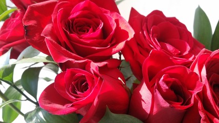 A bouquet of bright red roses