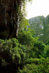Cave entrance and forest in Niah national park Borneo Malaysia