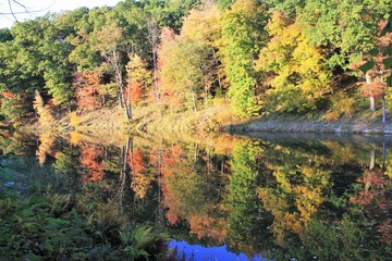 Obraz premium Autumn Reflection 13