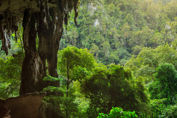Obraz premium Wejście do jaskini i las w parku narodowym Niah Borneo Malaysia