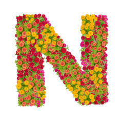 Letter N alphabet made from zinnia flower ABC concept type as logo.Typography design with clipping path