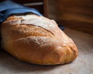 Sourdough Loaf