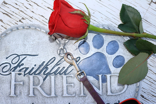 Red rose and a dog leash a heart shaped plaque