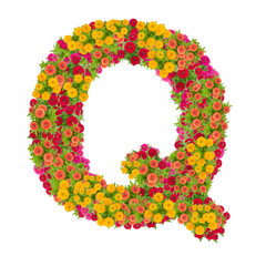 Letter Q alphabet made from zinnia flower ABC concept type as logo.Typography design with clipping path