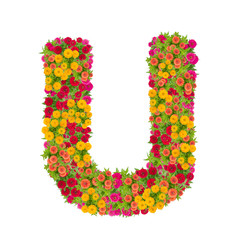 Letter U alphabet made from zinnia flower ABC concept type as logo.Typography design with clipping path