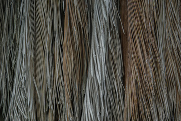 background of brown coconut palm leaf dry