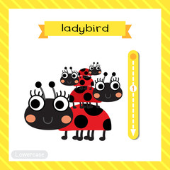 Letter L lowercase cute children colorful zoo and animals ABC alphabet tracing flashcard of Standing Ladybird for kids learning English vocabulary and handwriting vector illustration.