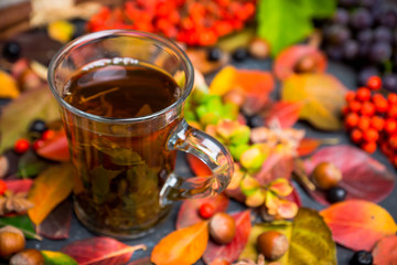 Cup of tea with autumn leaves, nuts, berries and spices on the rustic background. Shallow depth of field.