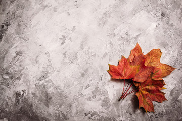 Beautiful red fallen maple leaves on concrete