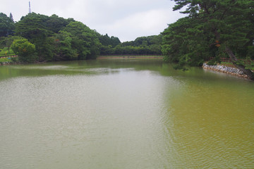 佐賀県唐津市鏡山の池