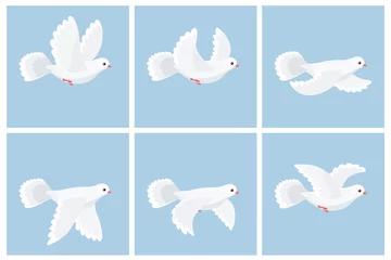 Fotobehang Cartoon flying dove animation sprite sheet © Elokua