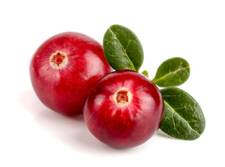 Cranberry with leaf isolated on white background closeup macro