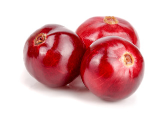 Cranberry isolated on white background closeup macro