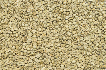 coffee green beans close up