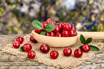 Cranberry with leaf in wooden spoon on old wooden table with blurry garden background