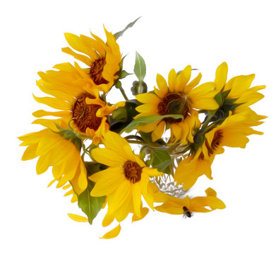 sunflower flower in small clear glass isolated on white digital painting