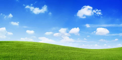 Fotobehang Green Field and blue sky © Rawpixel.com