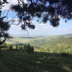 вид на долину с высоты