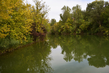 Fototapeta na wymiar colorful autumn trees on the lake in the city Park, early autumn