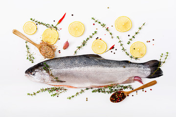 Fresh raw salmon red fish  isolated on a white background. Flat lay. Top view
