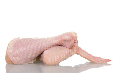 Raw chicken leg and wing isolated on white.