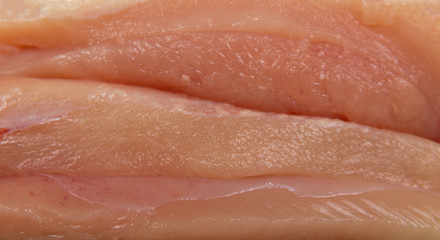 Pieces of chicken fillet.