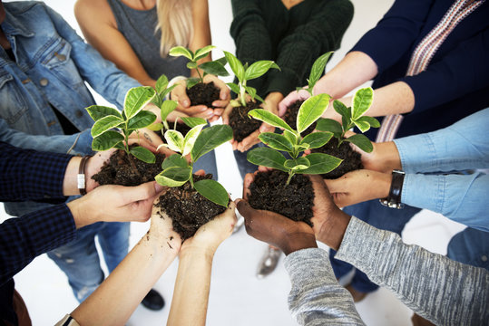 People Holding Plants In Their Hands