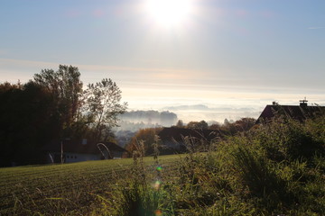 nebel landschaft herbst