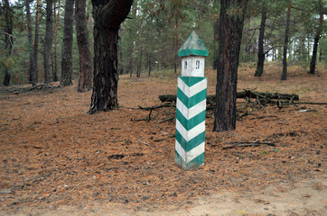 Fototapeta na wymiar Forestry sign.Forest near Kiev 