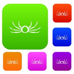 Japanese spider crab set color collection