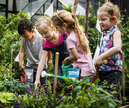 Group Of Kindergarten Kids Learning Gardening Outdoors