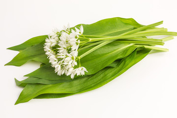 wild garlic leaves - also known as bear's garlic