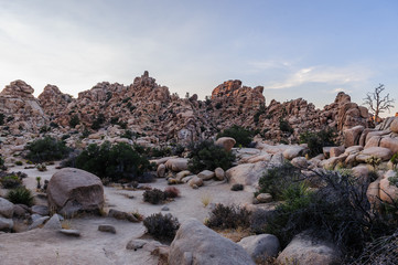 The Hidden Vally Area in Johua Tree National Park